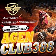 ALFABET88 AGEN CLUB388
