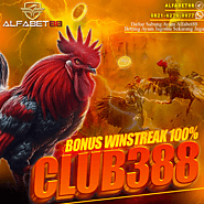 ALFABET88 AGEN SABUNG AYAM CLUB388