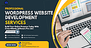 The Benefits of Professional WordPress Web Design