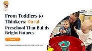 From Toddlers to Thinkers: Dural Preschool That Builds Bright Futures