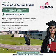 Top Study in USA Consultants in India – Apply Now!