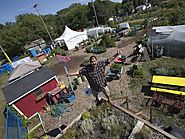 Green roof workshop hopes to bring gardening to new heights