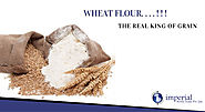 The Multi-Purpose Wheat Flour is the Real King of Grain