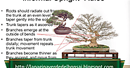 Analysis of what 'works' and what 'does not work' in the creation of bonsai: Trunk Rules.