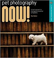 Pet Photography NOW!: A Fresh Approach to Photographing Animal Companions