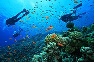 Explore the underwater scenery