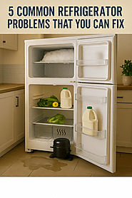 5 Common Refrigerator Problems That You Can Fix | A Fast Local