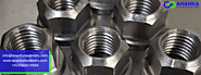 Best Quality Hex Flange Nuts Manufacturer & Supplier