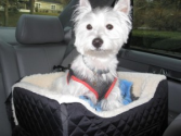 Best Dog Booster Car Seat