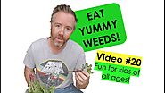 How to Pick Edible Weeds Fast and add them to your salads! Bush Tucker! Video #20