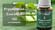 Top 10 Health Benefits Of Peppermint Essential Oil -Home Remedies Living