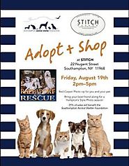 Stitch Southampton Hosts Adopt & Shop - The East End Experience