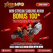 ASIAMPO BONUS WINSTREAK SABUNG AYAM 100%