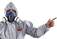 Top 5 Reasons to Hire a Professional Exterminator