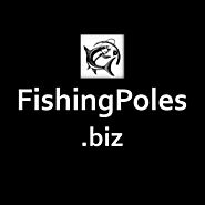 FishingPoles .biz / Domain For Sale / Business, Website Name / Namecheap | eBay