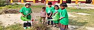 Ek Ped Maa Ke Naam 2.0 – A Mission of Love and Nature by Indian Schools