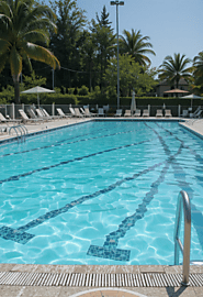 Top 5 Pool Cleaning Mistakes That Cost You Money | by scrubandspray | May, 2025 | Medium
