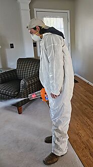 Professional Mold Remediation Douglasville in GA for Safe Living Spaces