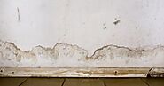 Comprehensive Douglasville Mold Removal to Protect Your Home Environment