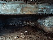 Find Out Why Your Crawl Space Smells Musty and Damp