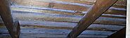 Smart Homeowner Tips on How to Prevent Attic Mold Growth