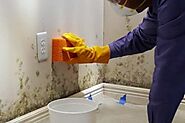 Understand the Risks: Reasons to Never DIY Mold Removal