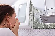 Learn to Identify What Mold Smells Like in Your Home
