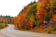 Common Driving Hazards to be Aware of this Fall - Goodwin & Scieszka