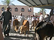 Visit the Cattle Market for the Experience