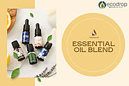Stay Protected and Healthy with Essential Oil Blends | Ecodrop