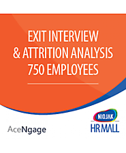 Employee Engagement - AceNgage