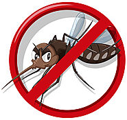 best mosquito control in abu dhabi