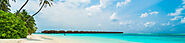 Contact Us - Get in Touch with Avigo Fly | Avigofly