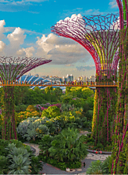 Gardens By The Bay