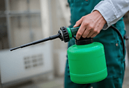 pest control abu dhabi