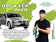 DPF & EGR Delete