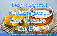 Natural Healing Remedies With Herbs
