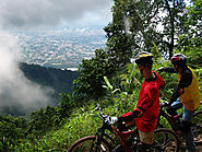 Enjoy a Bike Ride in the Rainforest