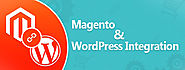 Two Popular Ways To Integrate Magento & WordPress