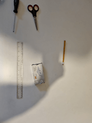 سوشل ڈیمنیشیا پروجیکٹ
