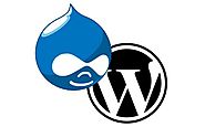 Popular CMS Comparison: Drupal and Wordpress