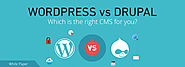 WordPress Vs. Drupal: CMS Comparison [Infographic]