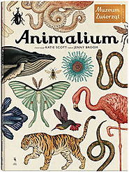 Animalium Muzeum zwierząt - Broom Jenny [43,05zł]