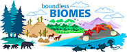Ask A Biologist: Biomes of the World