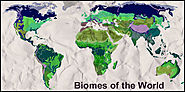 Biomes - Untamed Science