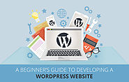 A Beginner's Guide to developing a WordPress website