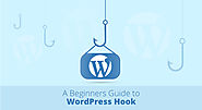 A Beginners Guide to WordPress Hooks