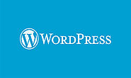 Is premium WordPress Theme necessary?