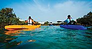 Mangrove and Sea Kayaking