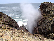 Blow Hole in Dickwella